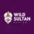 Analyse du Casino Wild Sultan